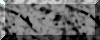 plm05.gif